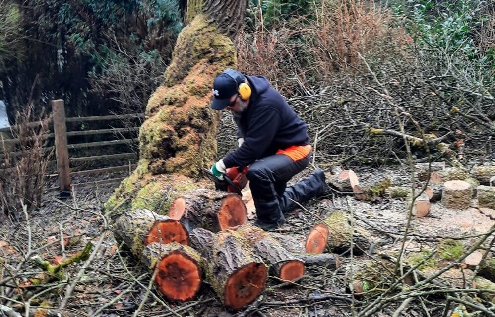 Erfolgreiche Holzschnittaktion im Interkulturellen Garten der WALI im Wetzlarer Westend